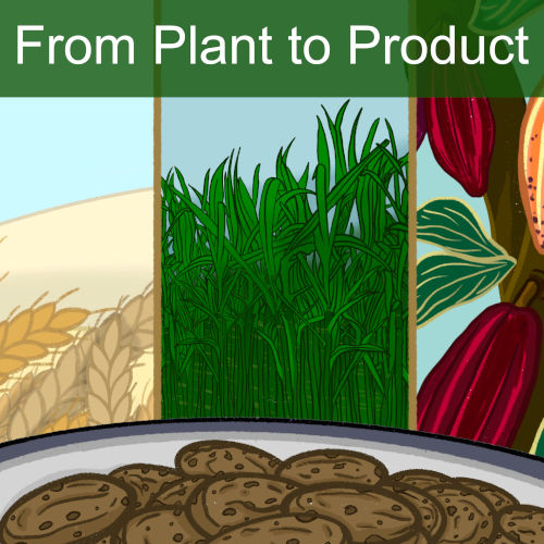 From Plant to Product Books & Puzzles